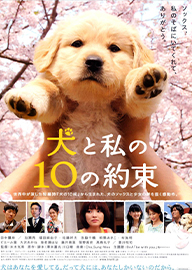 犬と私の１０の約束 AKA 10 Promises to My Dog